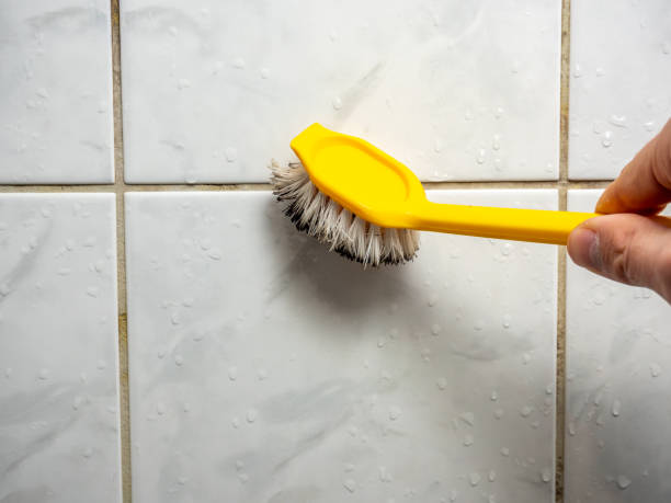 Best Same-Day Mold Removal  in Wlowbrook, IL