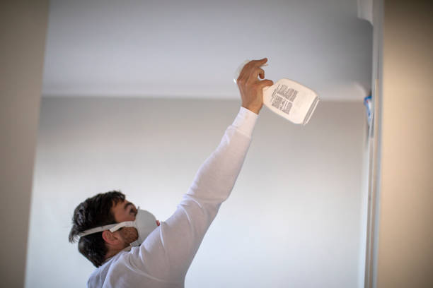 Best Black Mold Removal  in Wlowbrook, IL