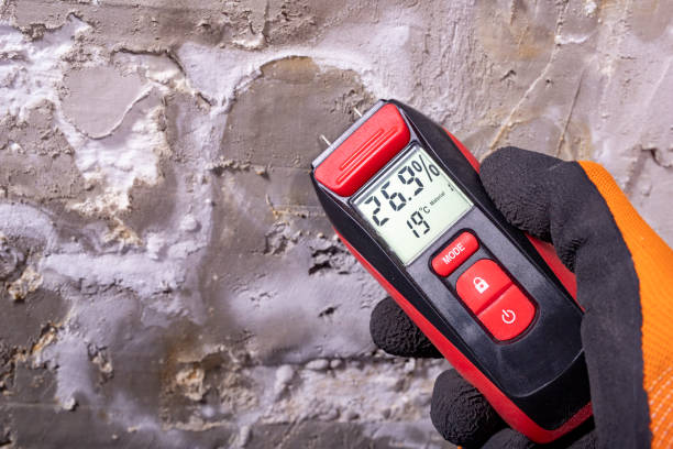 Best Mold Removal Company Near Me  in Wlowbrook, IL