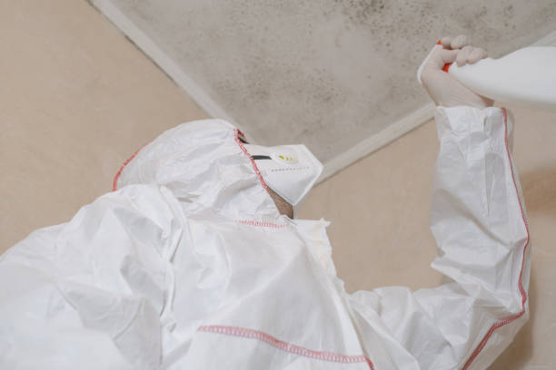 Water Damage Restoration in Willowbrook, IL