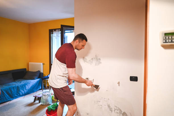 Best Best Mold Removal Companies  in Wlowbrook, IL
